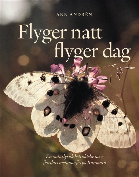 [Flyger_natt_flyger_dag--2023--.html]